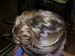 DSCN1328